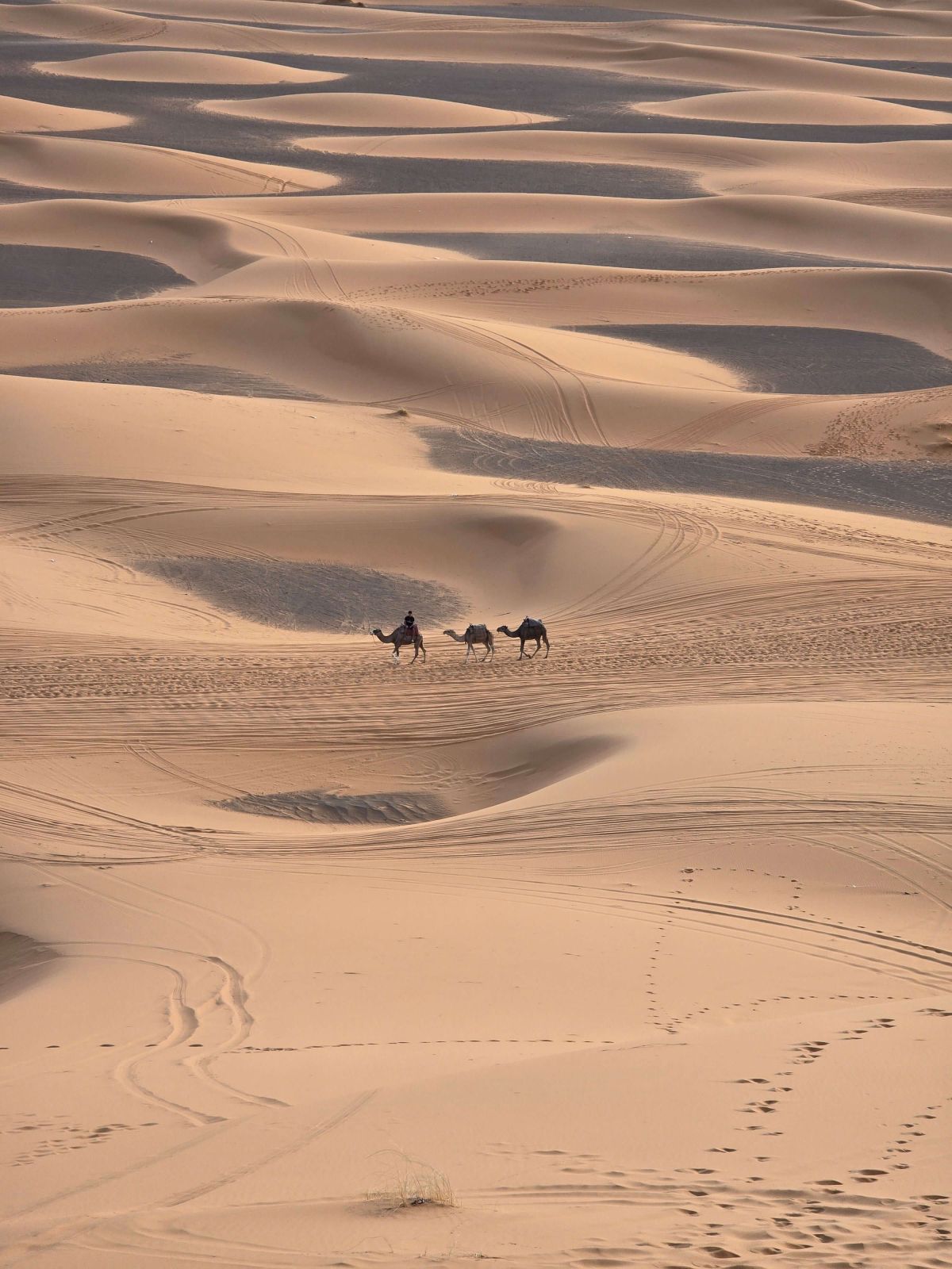 Marrakech to Zagora Desert Tour